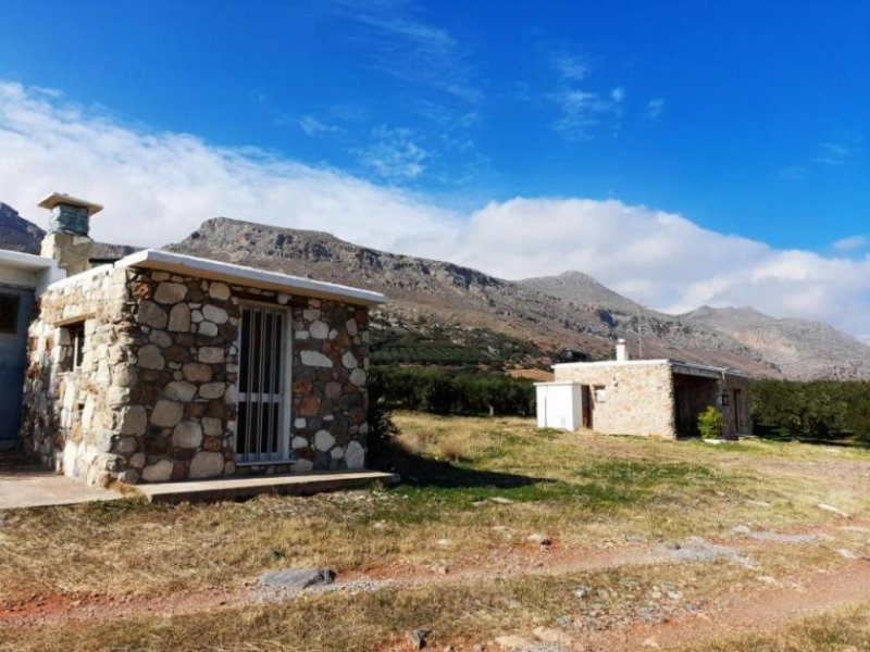 Zakros Ostkreta, Zakros: Baugrundstück mit zwei kleinen Häusern und Olivenbäumen zu verkaufen Haus kaufen